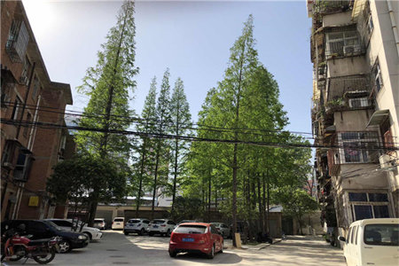 城南大同天下荆香苑3室2厅1卫142.8万125m2出售